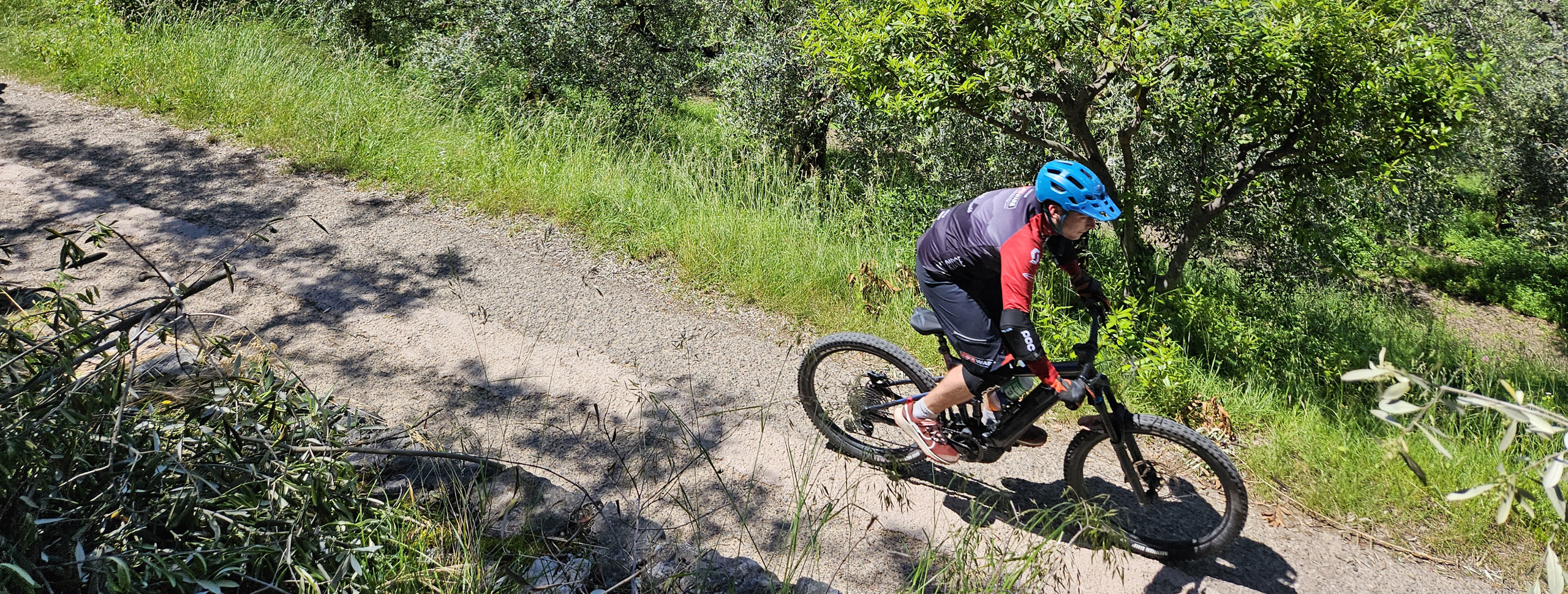 Percorsi bike nel Garda Trentino